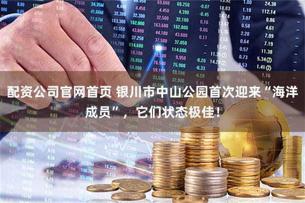配资公司官网首页 银川市中山公园首次迎来“海洋成员”，它们状态极佳！