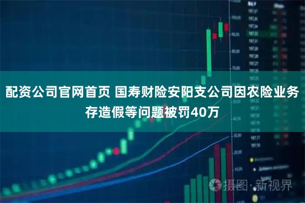 配资公司官网首页 国寿财险安阳支公司因农险业务存造假等问题被罚40万